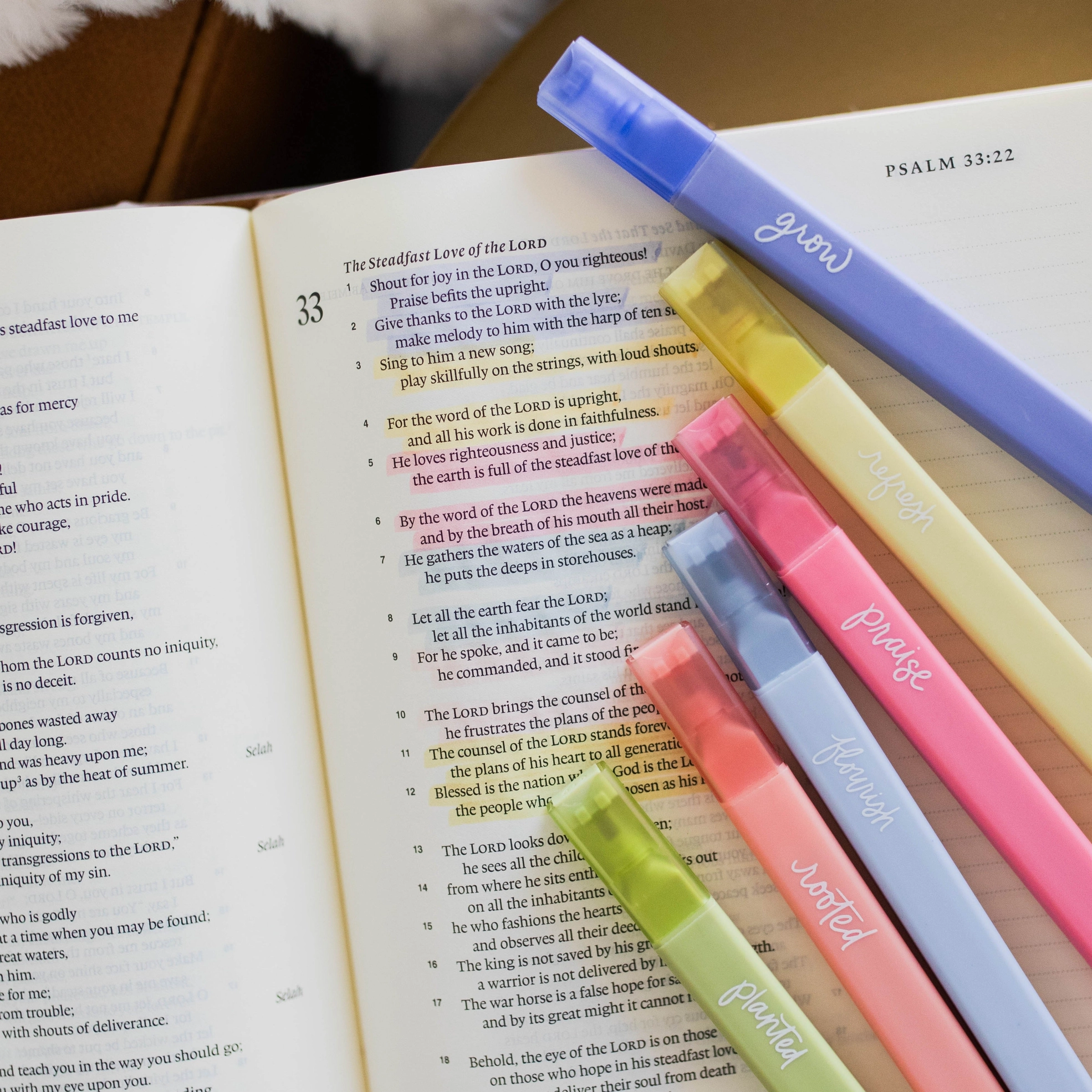 Thumbnail: Garden Highlighters