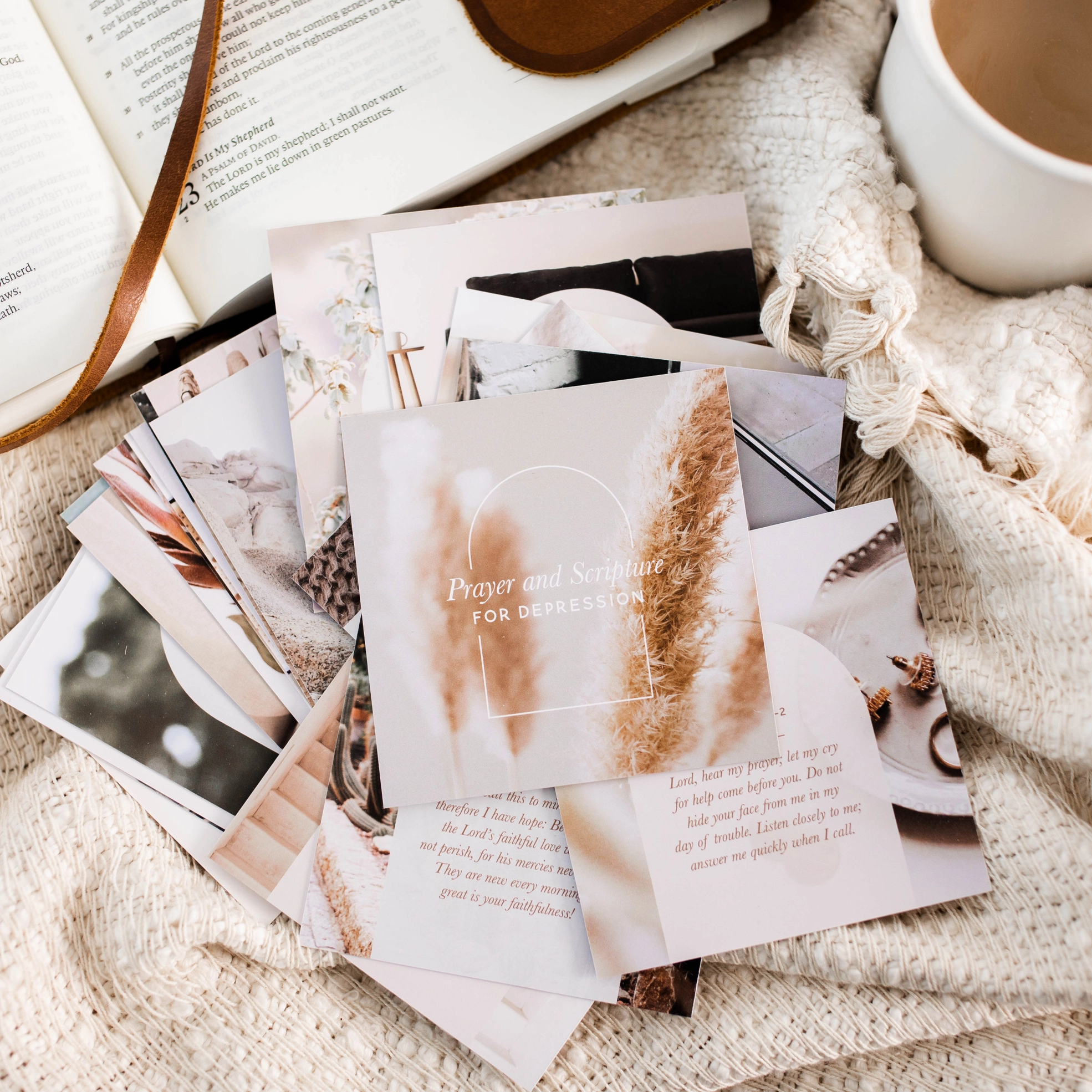 Thumbnail: Prayer and Scripture For Depression Verse Card Set