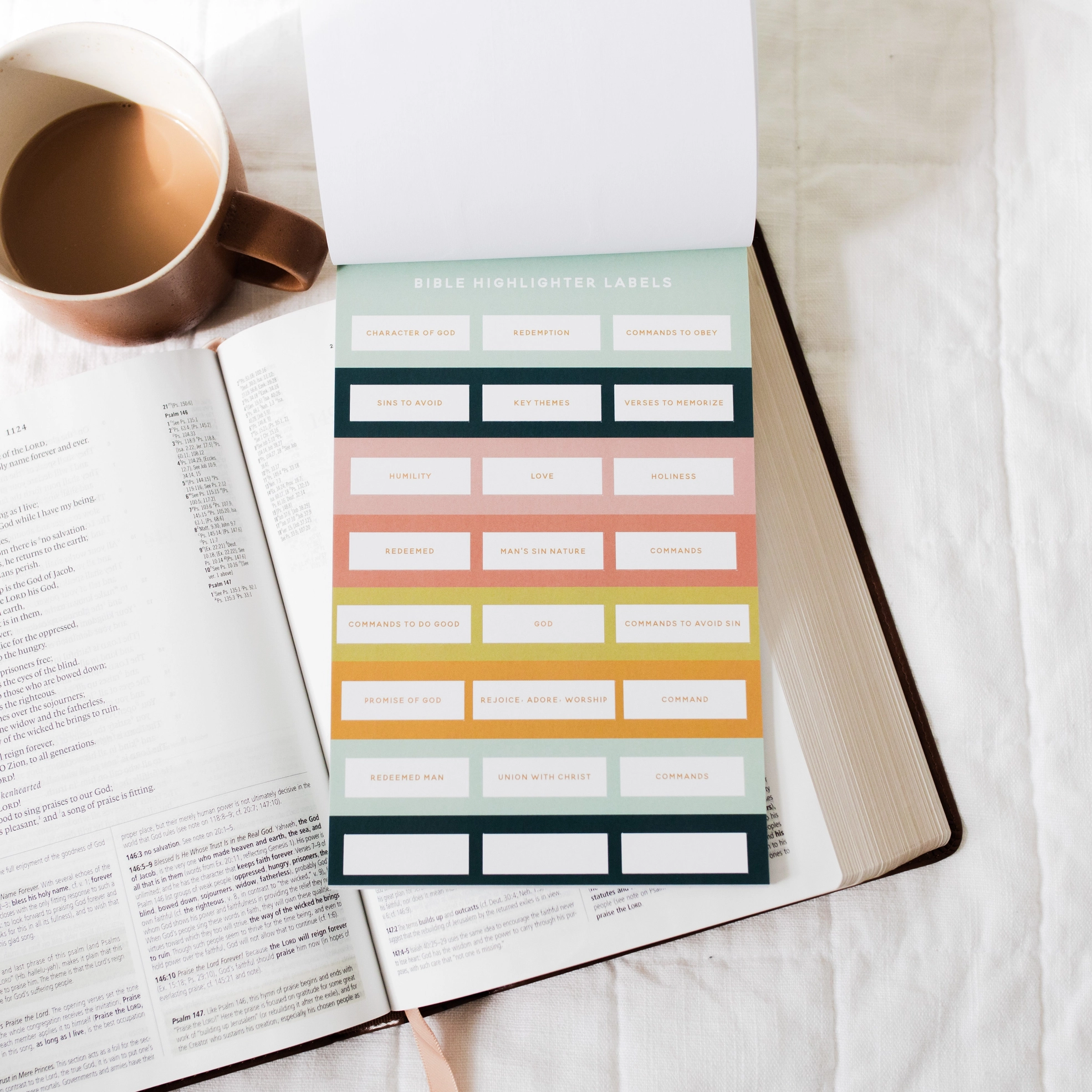 Thumbnail: Bible Study Stickers