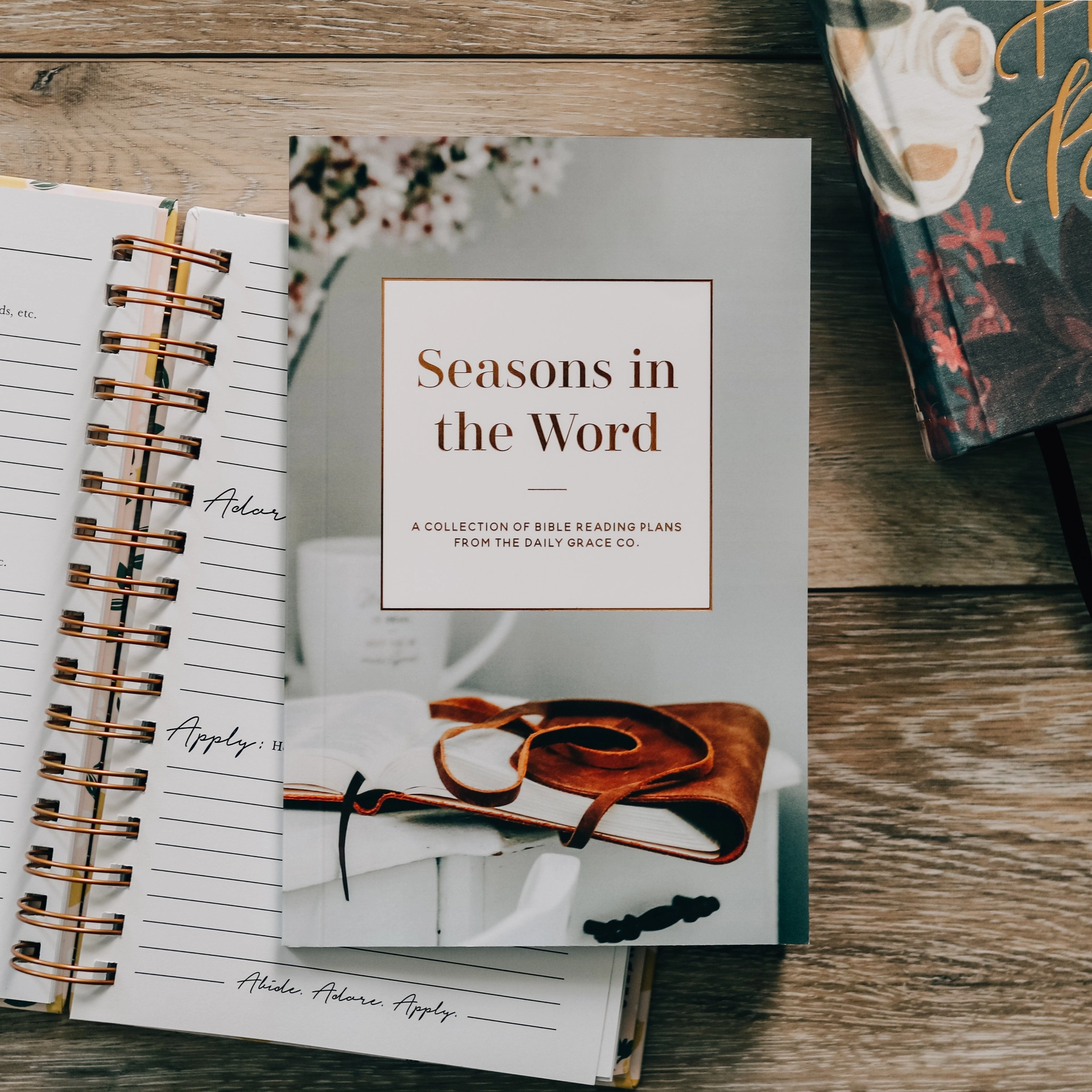 Thumbnail: Seasons in the Word
