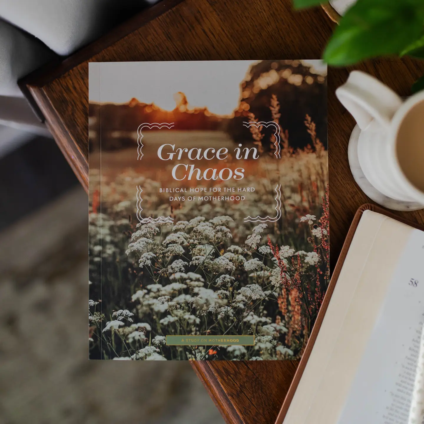 Thumbnail: Grace in Chaos